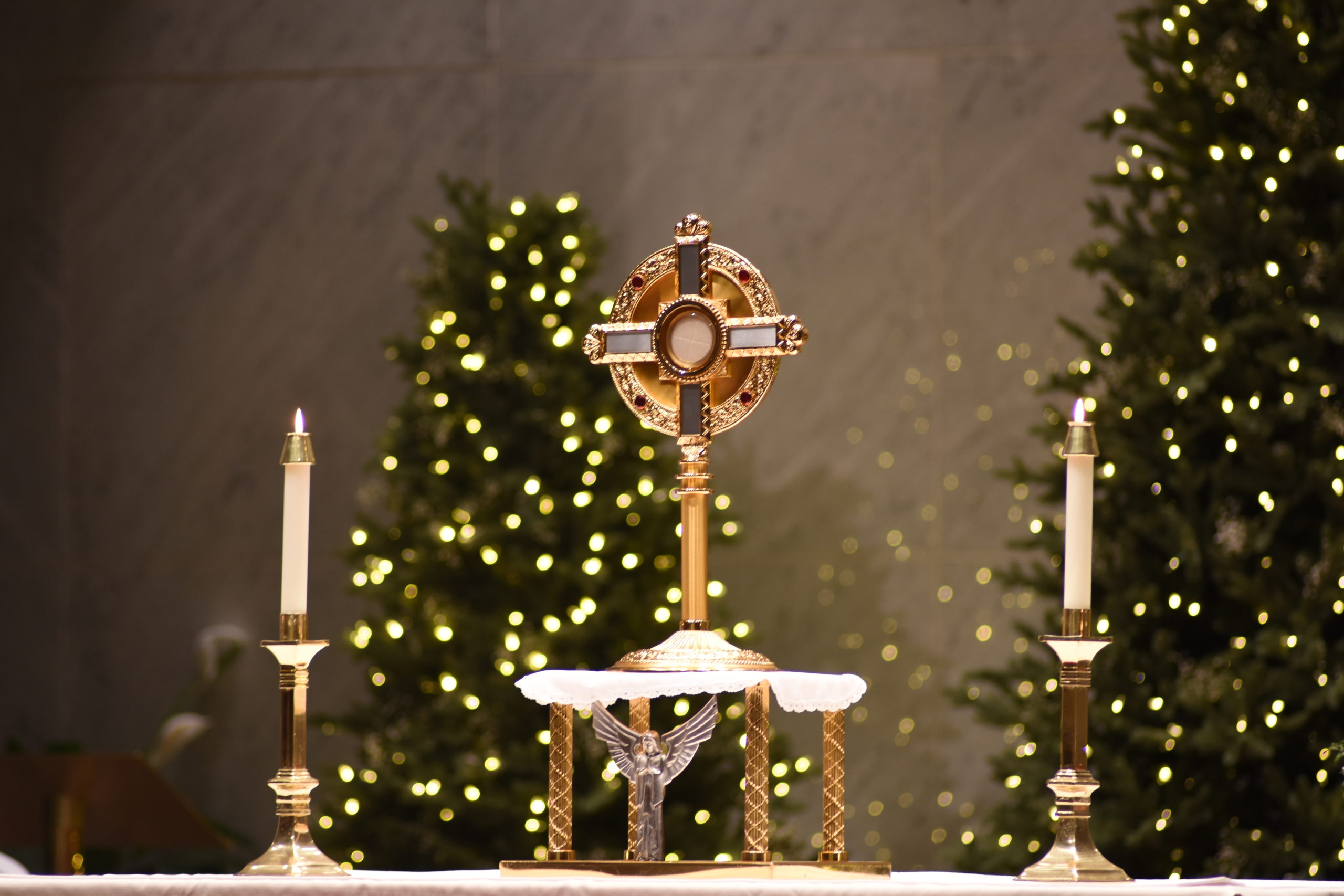 Exposition and Adoration of the Most Holy Eucharist Nativity Catholic