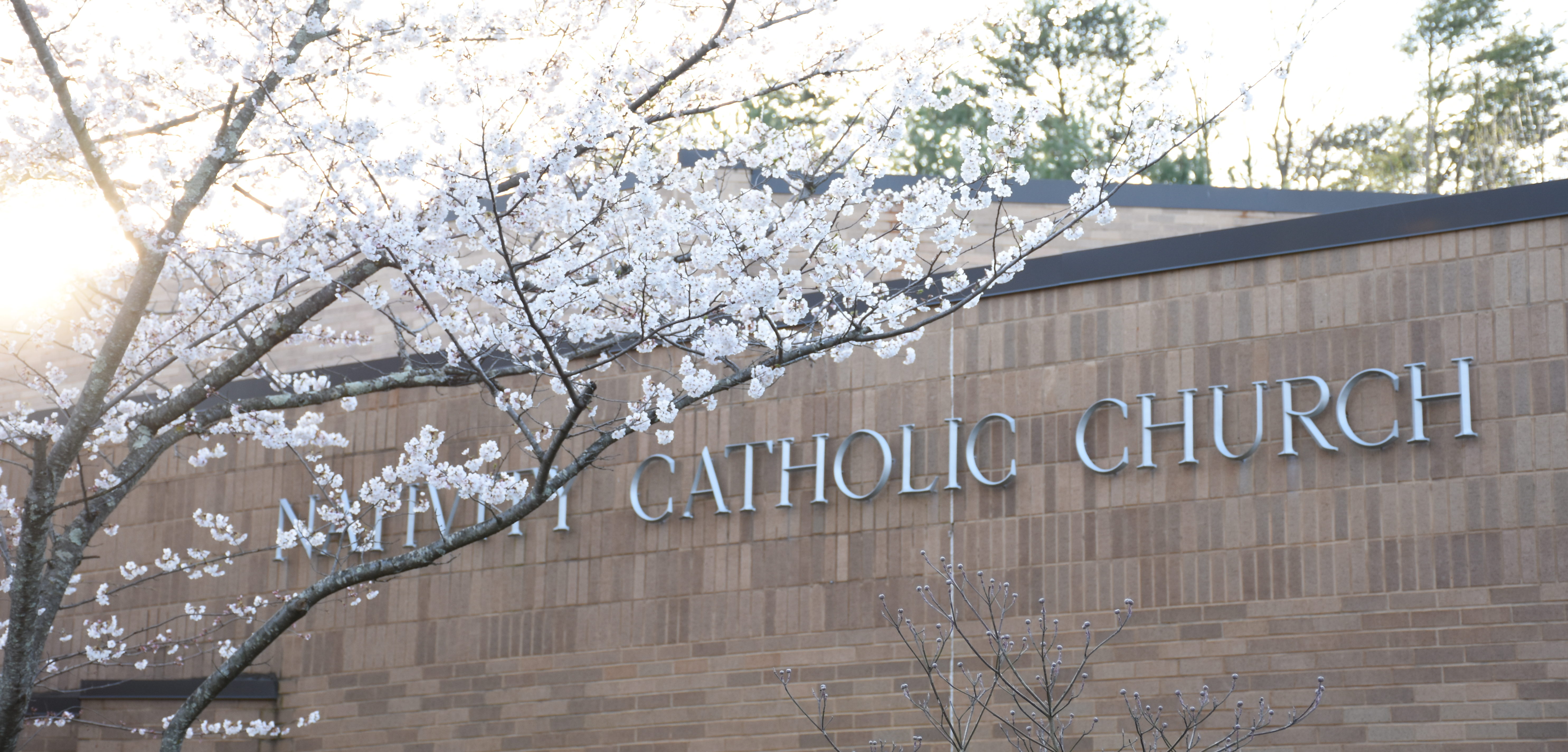 Online Giving Nativity Catholic Church