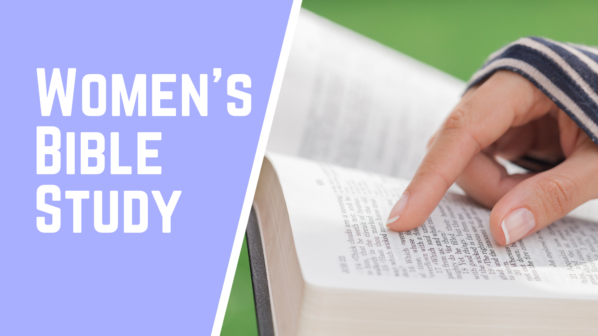 bible study book for women
